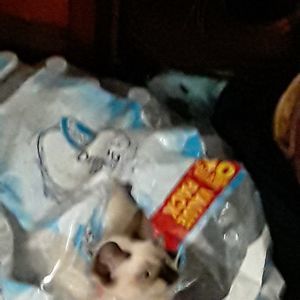 Meet your Posher, Charles